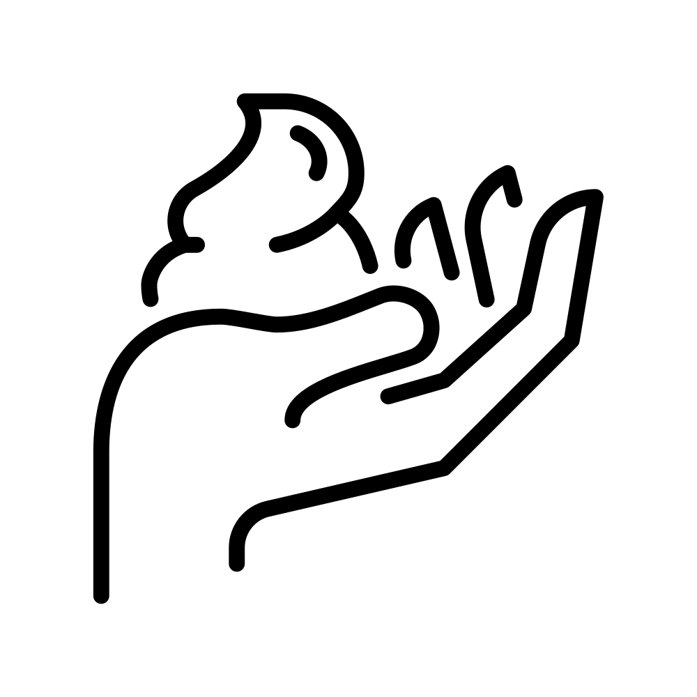 pictos-soins-03